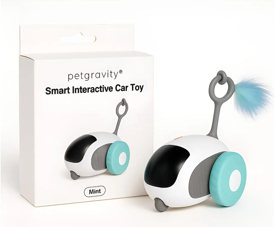 Juguete Robot Interactivo Para Gato O Perro Con Control